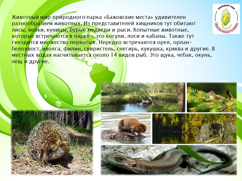 Семейный проект "Бажовские места".