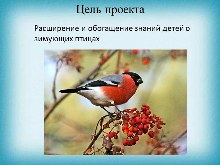Презентация проекта "Зимующие птицы"