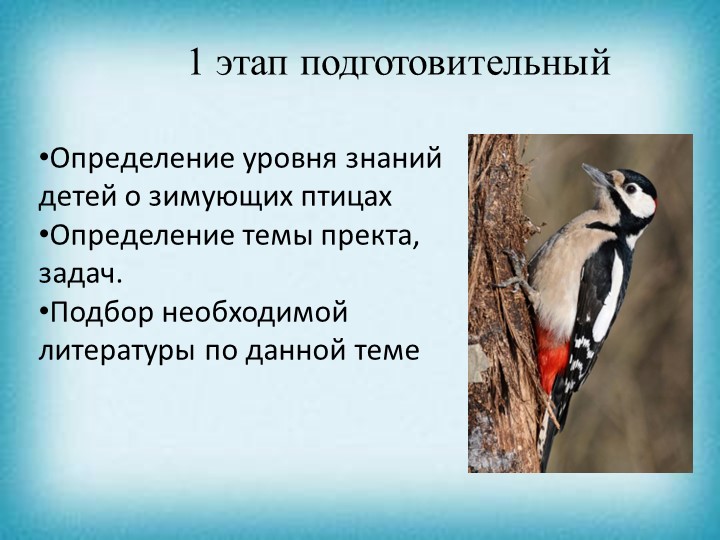 Презентация проекта "Зимующие птицы"