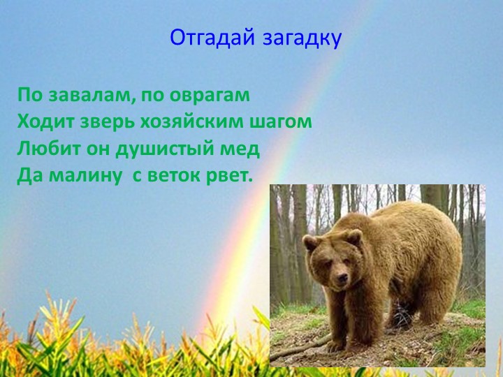 Мультимедийная дидактическая игра по окружающему миру «Животные леса»