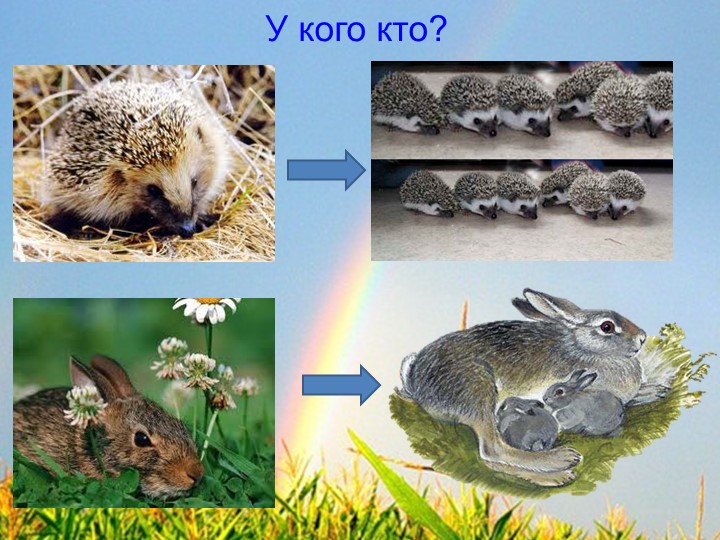 Мультимедийная дидактическая игра по окружающему миру «Животные леса»