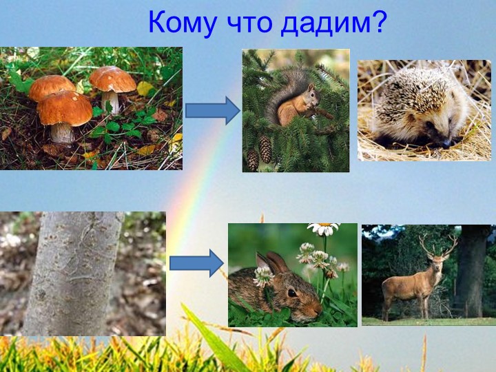 Мультимедийная дидактическая игра по окружающему миру «Животные леса»