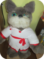 Picture 19