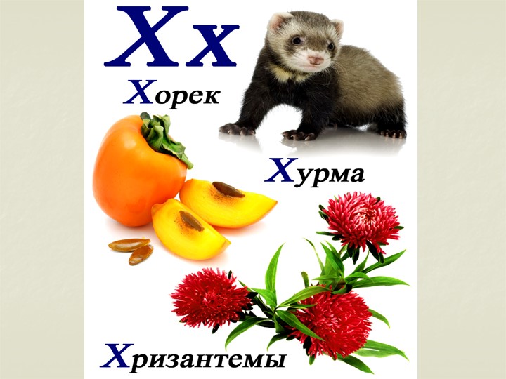 Презентация. Учим буквы. Буква Х.