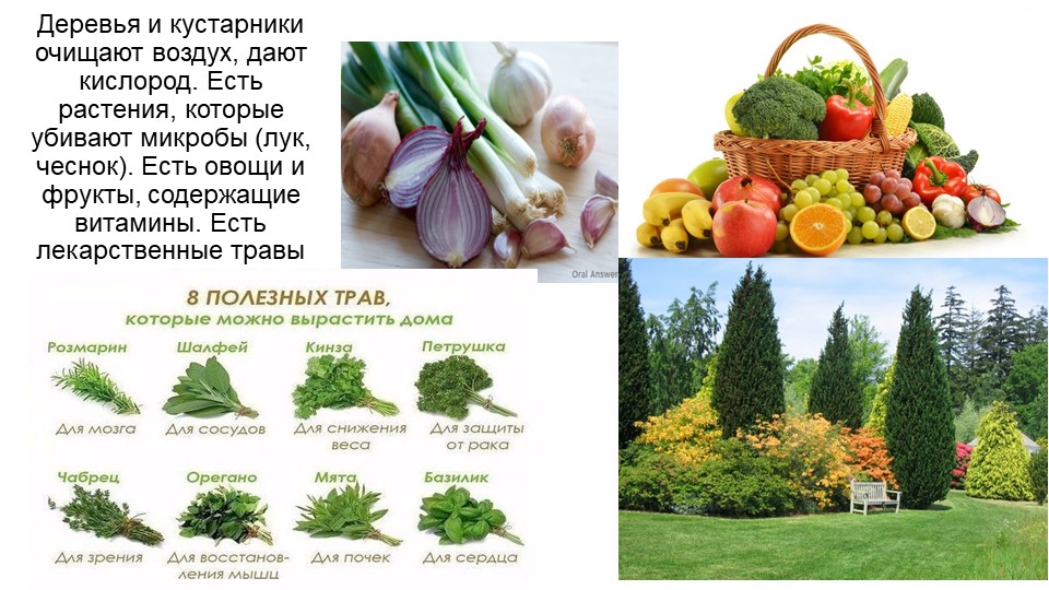 ЗОЖ "Путешествие в страну "Здоровинка"