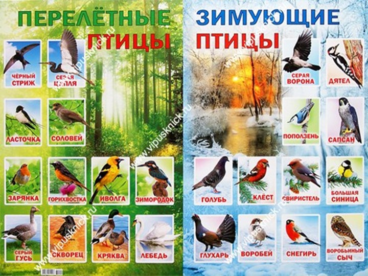 Презентация НА ТЕМУ "Охрана окружающей среды"