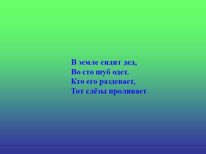 Презентация «Загадки про овощи»