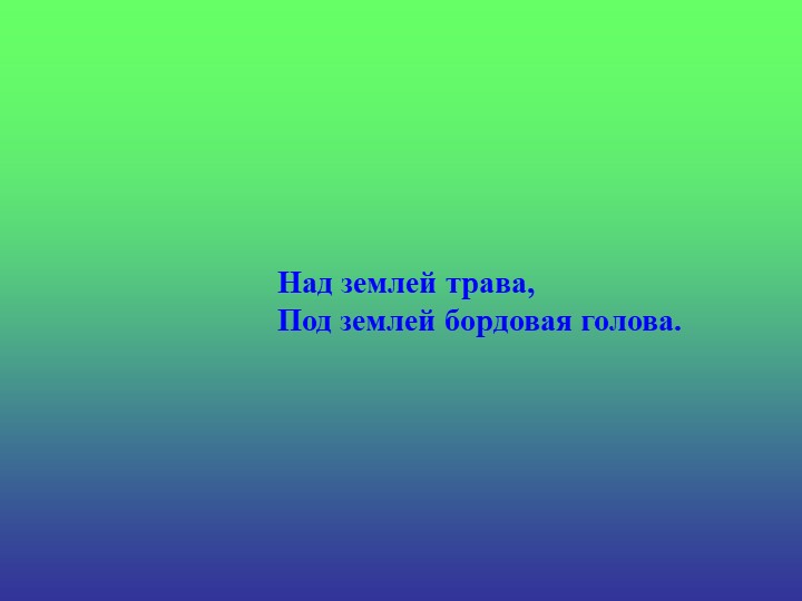 Презентация «Загадки про овощи»