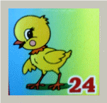 Picture 26
