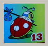Picture 14