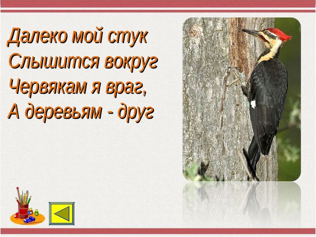 Путешествие по Стране Знаний. Презентация по математике для дошкольников