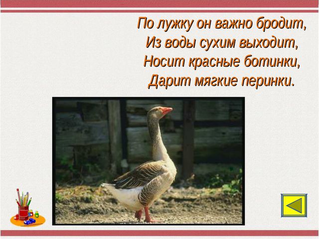 Путешествие по Стране Знаний. Презентация по математике для дошкольников