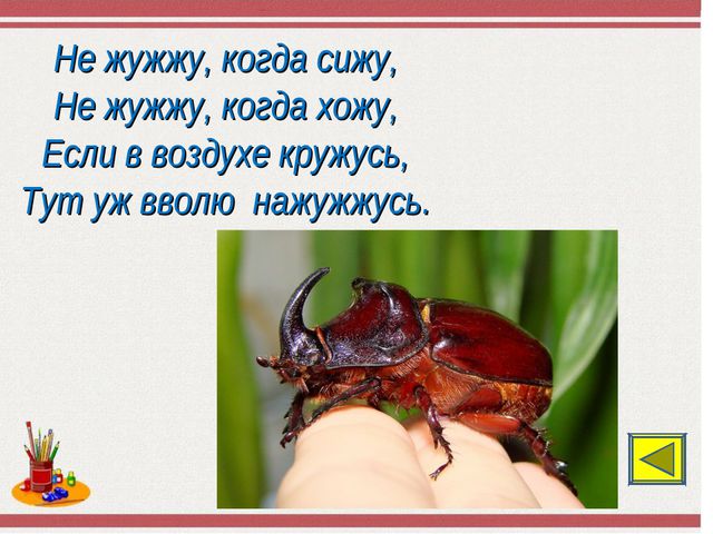 Путешествие по Стране Знаний. Презентация по математике для дошкольников