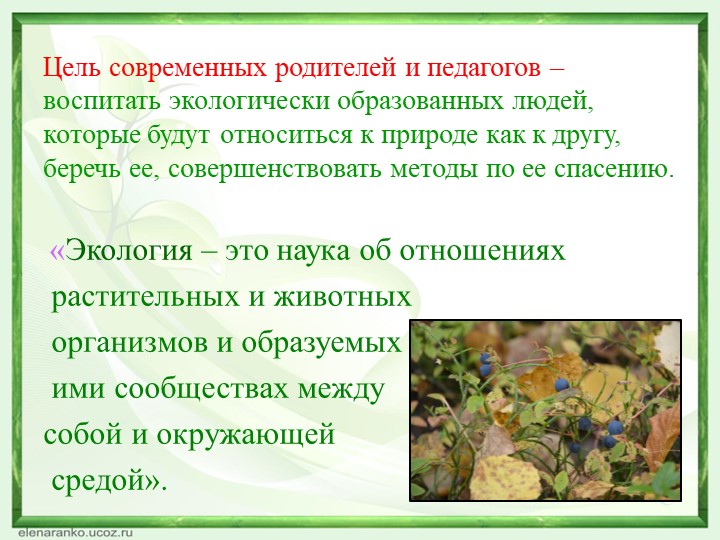 Презентация Экологический семенар для педагогов