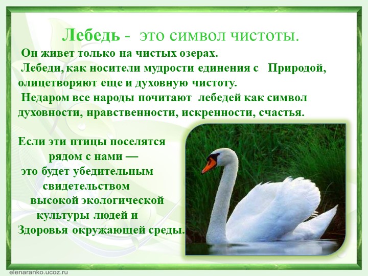 Презентация Экологический семенар для педагогов