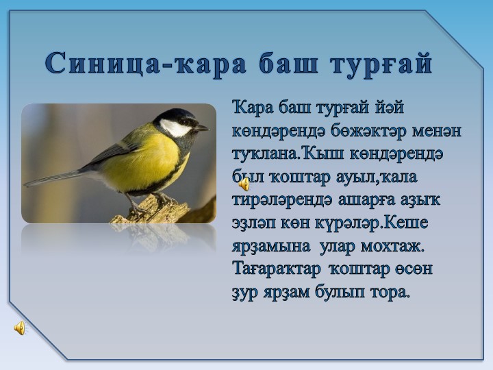 Презентация на тему6 "Зимующие птицы"