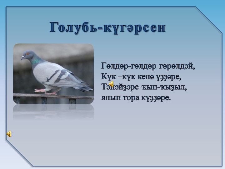 Презентация на тему6 "Зимующие птицы"