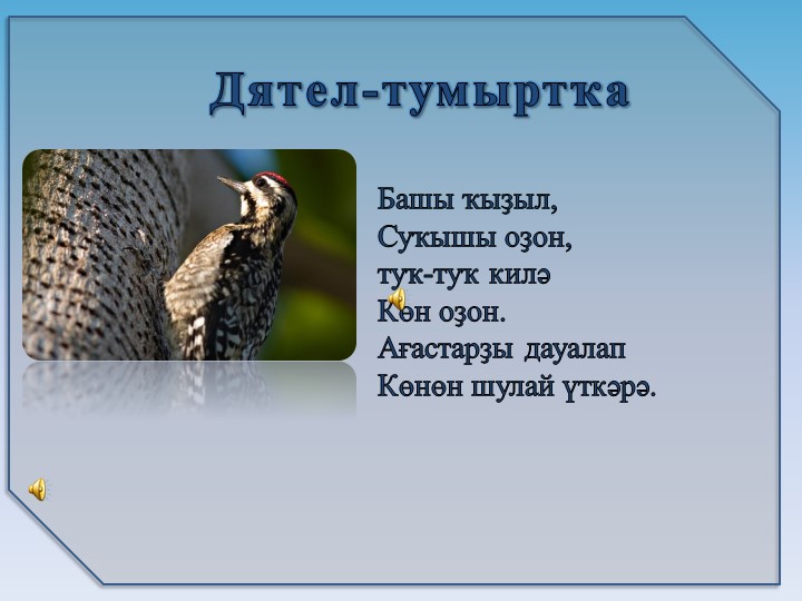 Презентация на тему6 "Зимующие птицы"