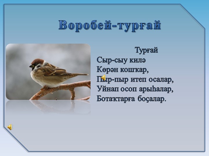 Презентация на тему6 "Зимующие птицы"