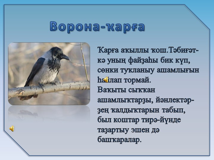 Презентация на тему6 "Зимующие птицы"