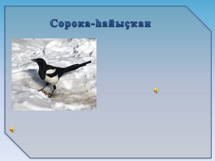 Презентация на тему6 "Зимующие птицы"