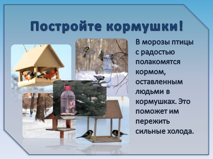 Презентация на тему6 "Зимующие птицы"