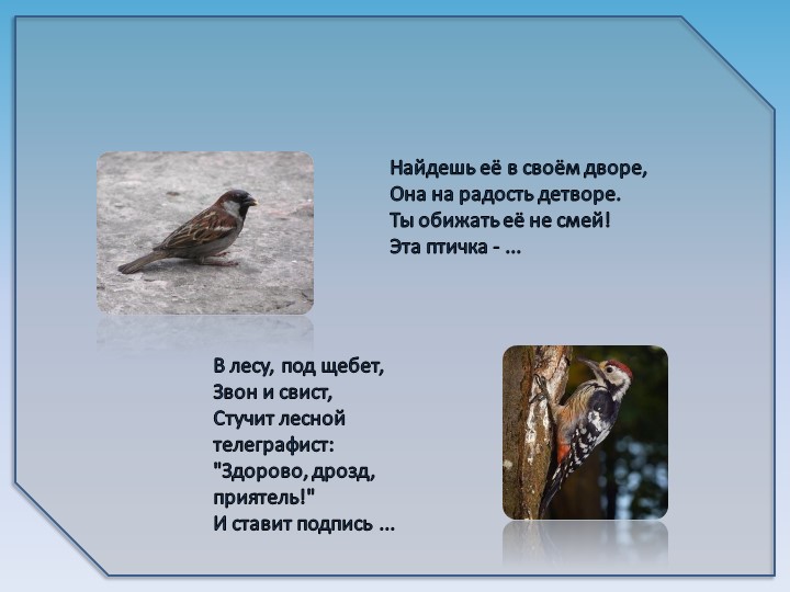 Презентация на тему6 "Зимующие птицы"