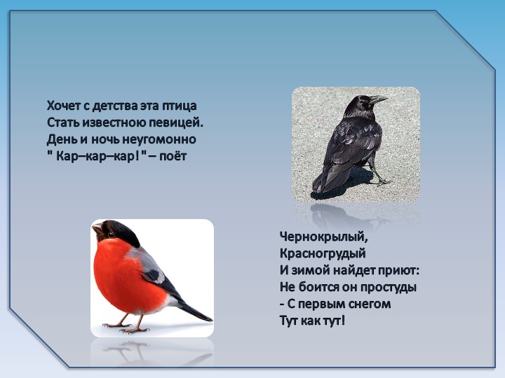 Презентация на тему6 "Зимующие птицы"