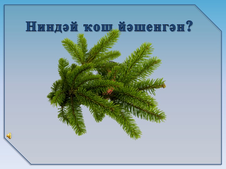 Презентация на тему6 "Зимующие птицы"