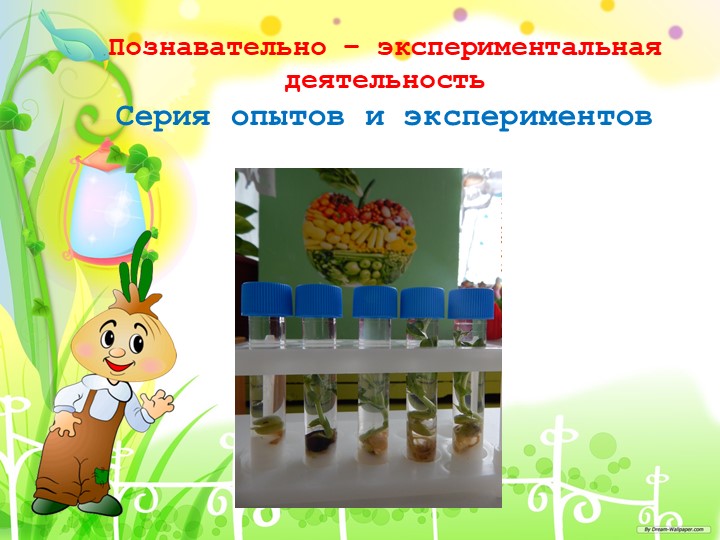 "Познавательно-исследовательский проект "Приключение Чипполино и его друзей
