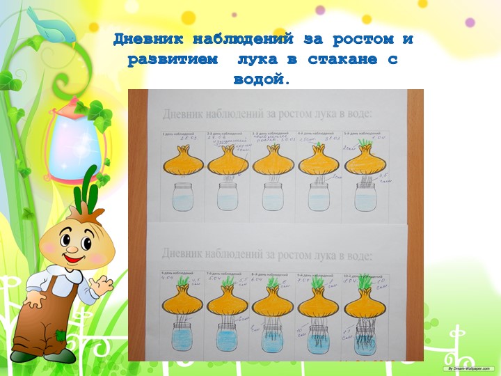 "Познавательно-исследовательский проект "Приключение Чипполино и его друзей
