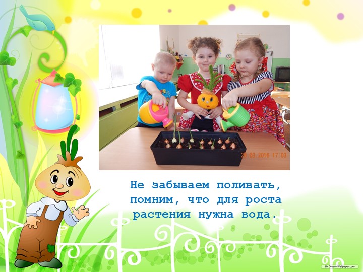 "Познавательно-исследовательский проект "Приключение Чипполино и его друзей