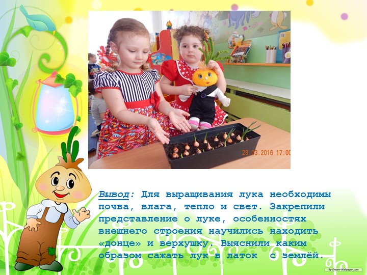 "Познавательно-исследовательский проект "Приключение Чипполино и его друзей