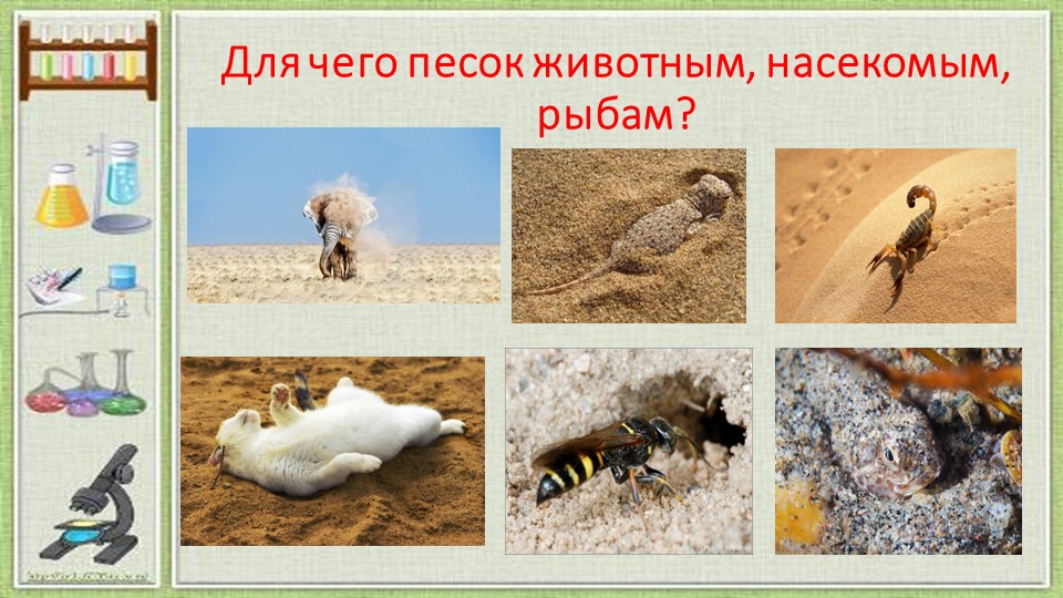 Презентация по познавательному развитию "Удивительный мир песка".