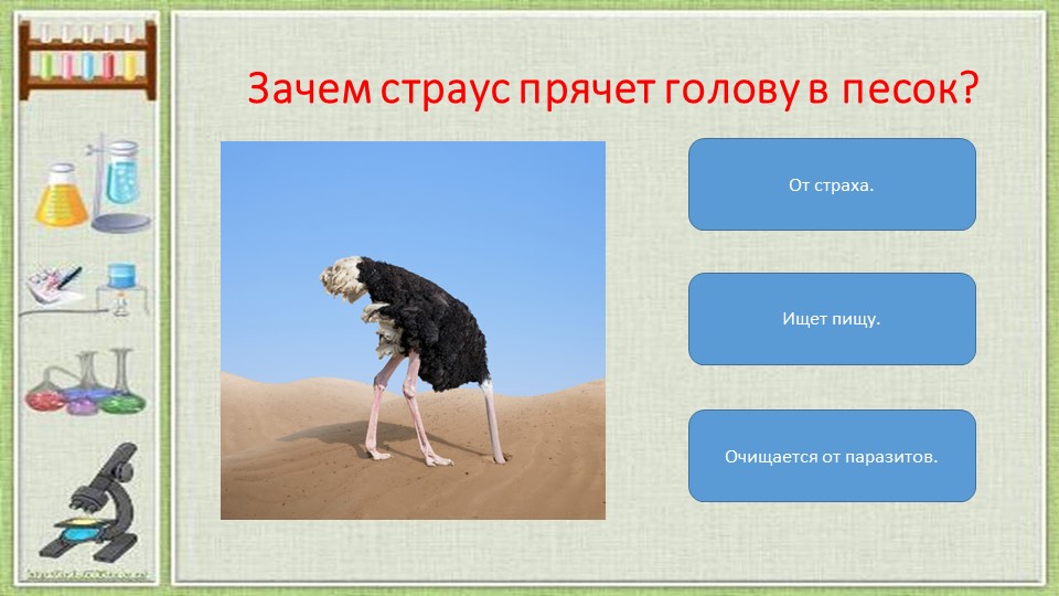 Презентация по познавательному развитию "Удивительный мир песка".