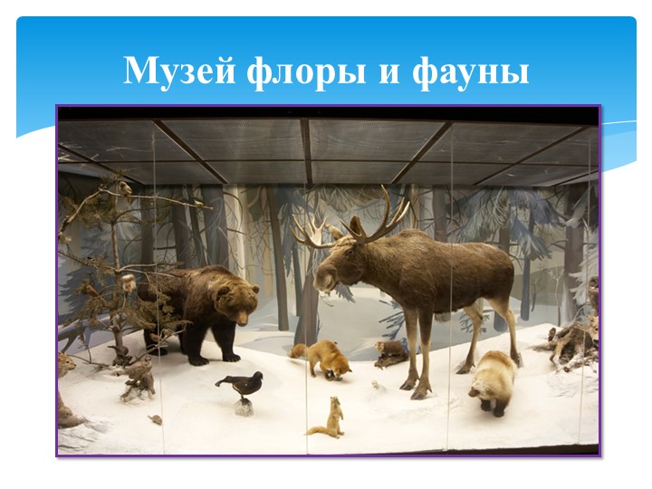 Презентация на тему " Мастер-класс "Блоки Дьенеша -цветная геометрия"
