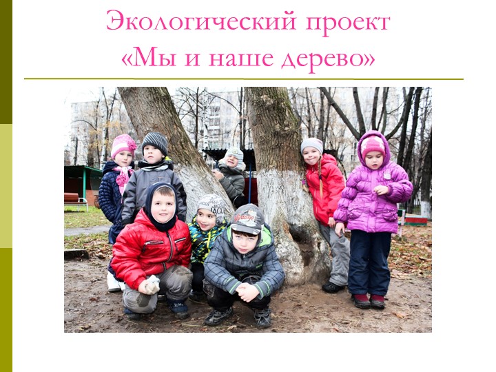 Экологический проект"Мы и наше дерево"