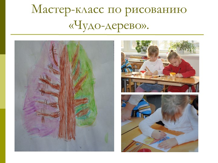 Экологический проект"Мы и наше дерево"