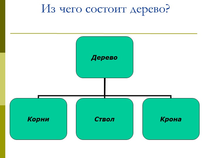 Экологический проект"Мы и наше дерево"