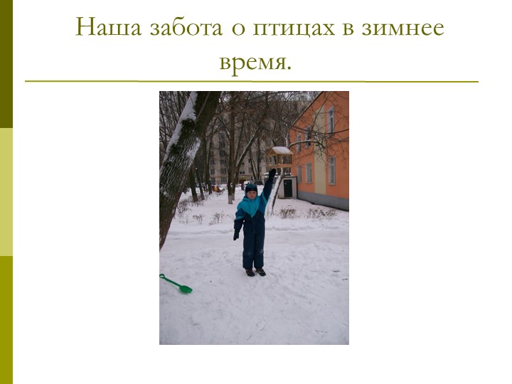 Экологический проект"Мы и наше дерево"