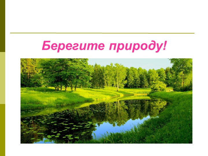 Экологический проект"Мы и наше дерево"
