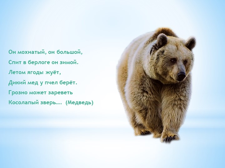 Презентация "Загадки про зверей для малышей"