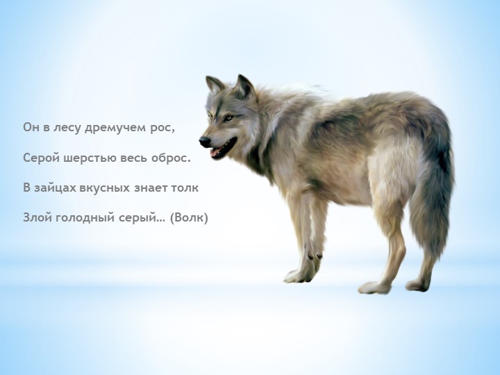 Презентация "Загадки про зверей для малышей"