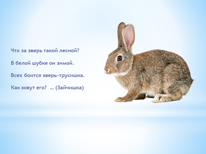 Презентация "Загадки про зверей для малышей"