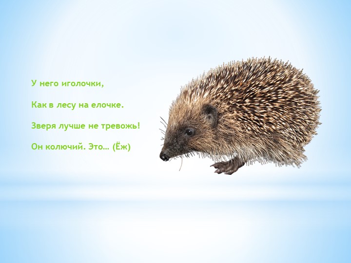 Презентация "Загадки про зверей для малышей"