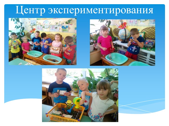 Презентация: "Опыт работы по экологическому воспитанию в рамках реализации Фгос".