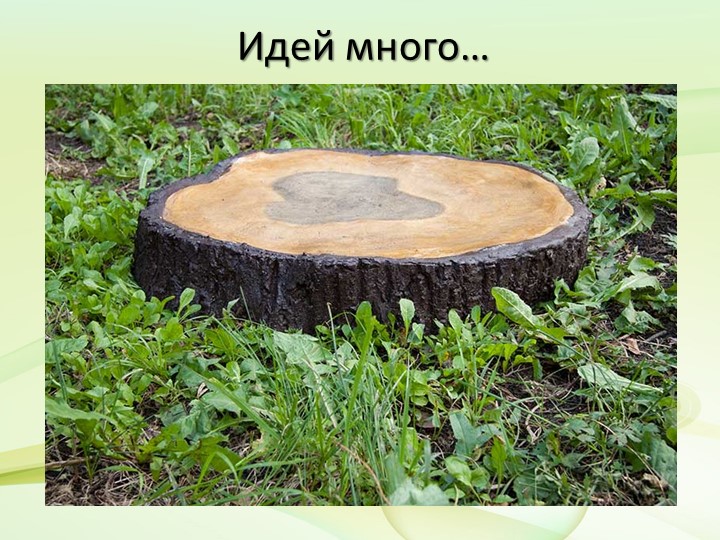 Презентация по экологическому воспитанию на тему "Наш огород"