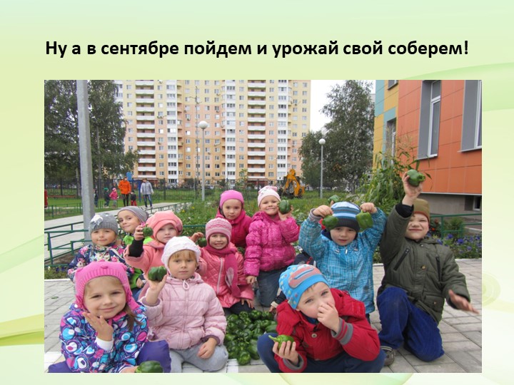 Презентация по экологическому воспитанию на тему "Наш огород"
