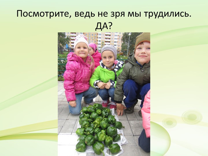 Презентация по экологическому воспитанию на тему "Наш огород"
