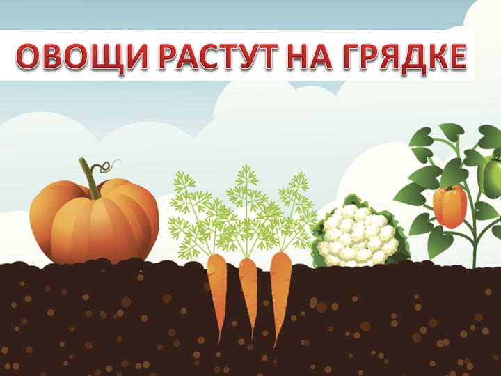 Презентация по окружающему миру